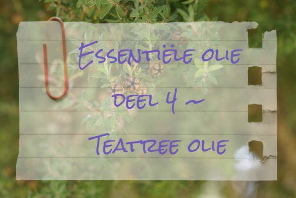 Teatree olie